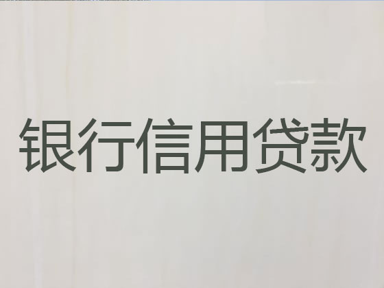 乐山抵押担保贷款-银行信用贷款